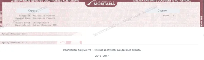 Победитель программы обмена, 2016–2017. Копия со скрытыми данными.
